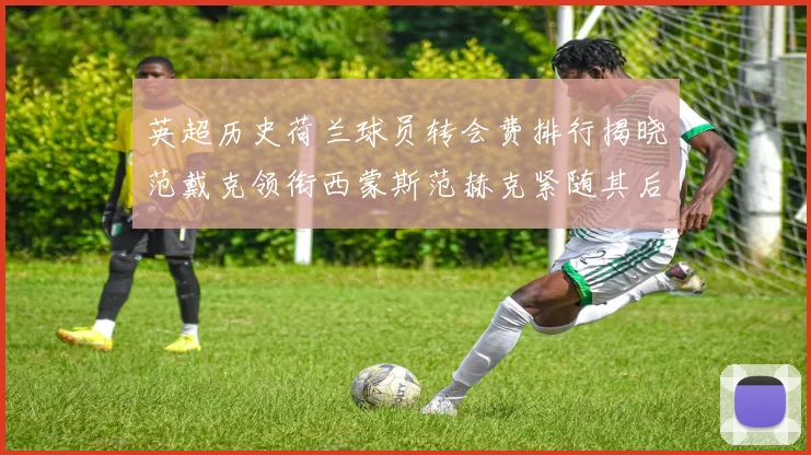 英超历史荷兰球员转会费排行揭晓范戴克领衔西蒙斯范赫克紧随其后